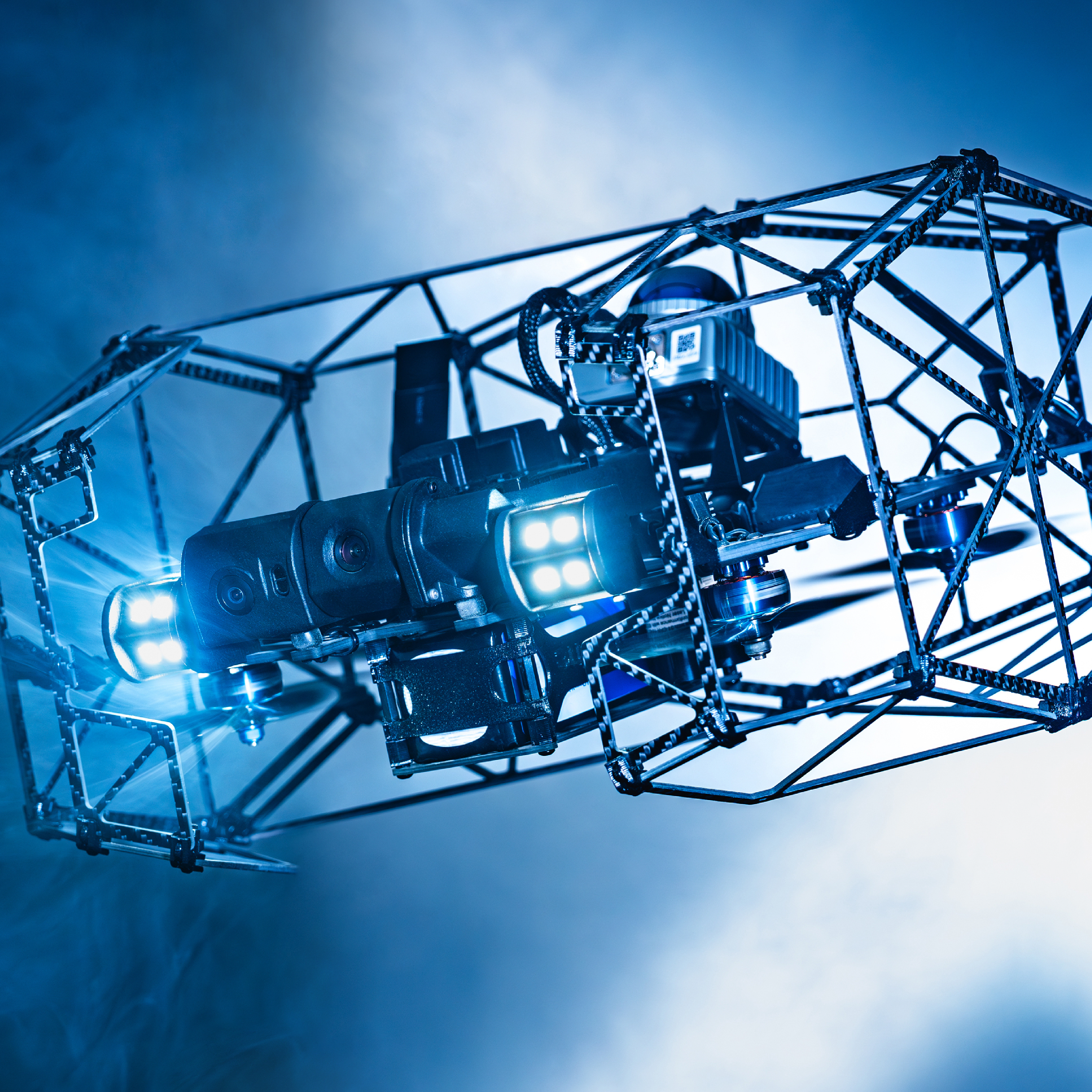 万年道半ばんちゅ