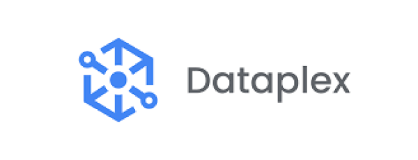 Dataplex